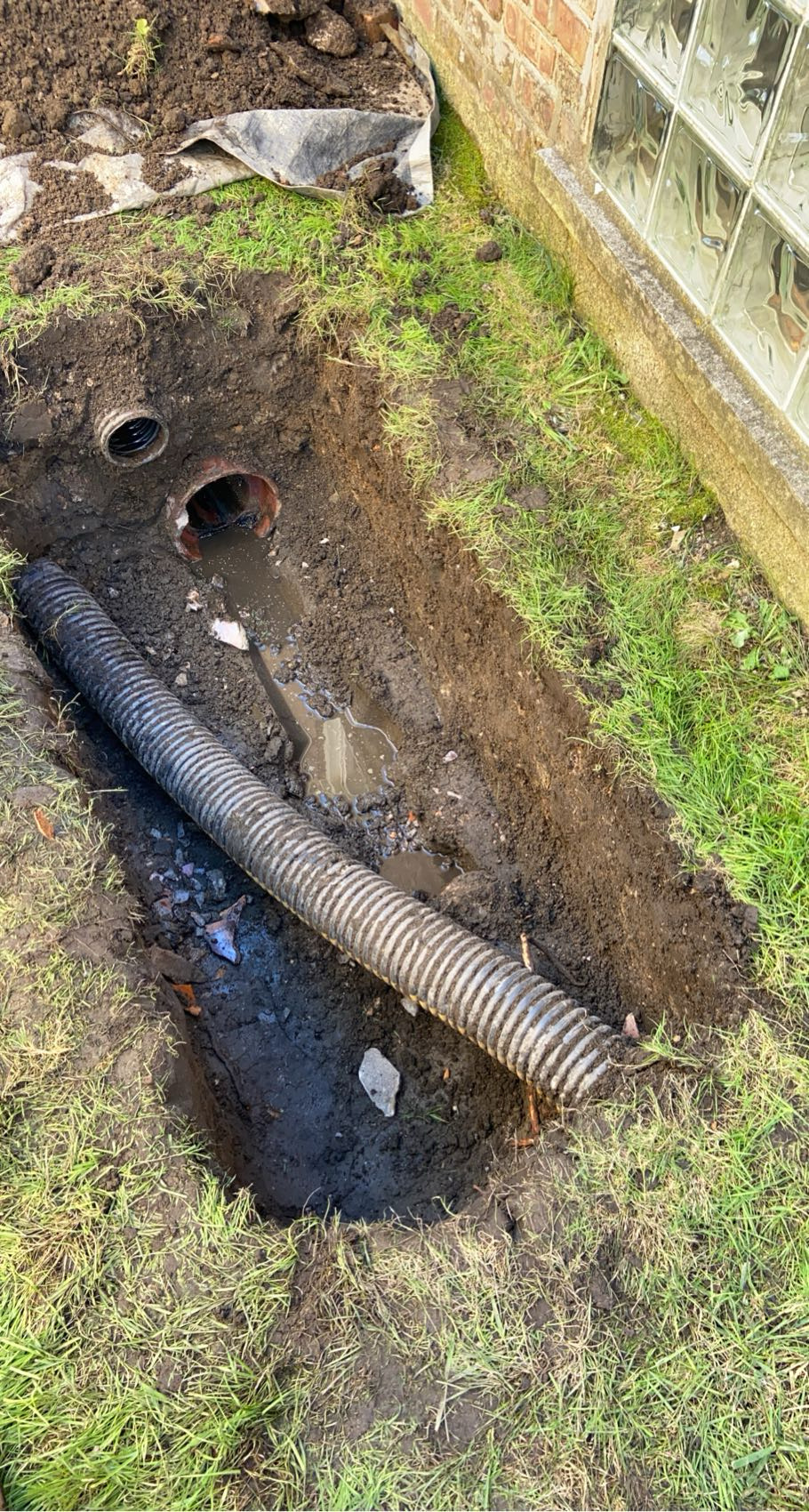 Chicago side yard dug open along the foundation exposing the old broken clay sewer line and downspout drain tile
